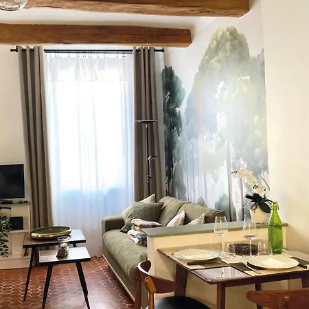 Appartement Typique Cœur Historique&thermes Gréoux-les-Bains